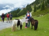 austria_2014-18