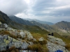 Balea