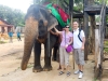 Elefant Safari, Sri Lanka