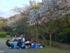Genjiyama Park, Japonia, Kamakura