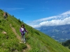 Austria, Kitzbuheler Horn, St. Johann in Tirol
