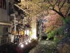 Japonia, Kyoto, Shimbasi