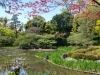 Kyoto6_1-14
