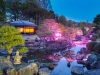 Kyoto-4