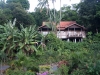Malaysia - Langkawi