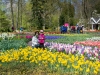 Olanda-Keukenhof
