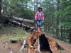 In Muntii Hășmaș: spre Piatra Singuratica