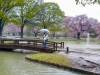 Japonia, Tokyo - Yoyogi Park