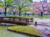 Japonia, Tokyo - Yoyogi Park