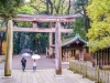 Japonia, Tokyo - Meiji Temple