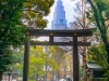 Japonia, Tokyo - Meiji Temple