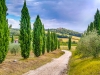 Italia, San Gimignano, Toscana