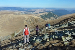 Transalpina