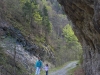 Parcul natural Putna – Vrancea