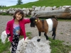 Aurach bei Kitzbuhel, Austria, Wild Park Aurach