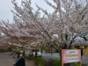 Japonia, Kyoto
